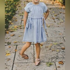 Poppet & Fox Boutique Toddler Girl Chambray Denim Dress